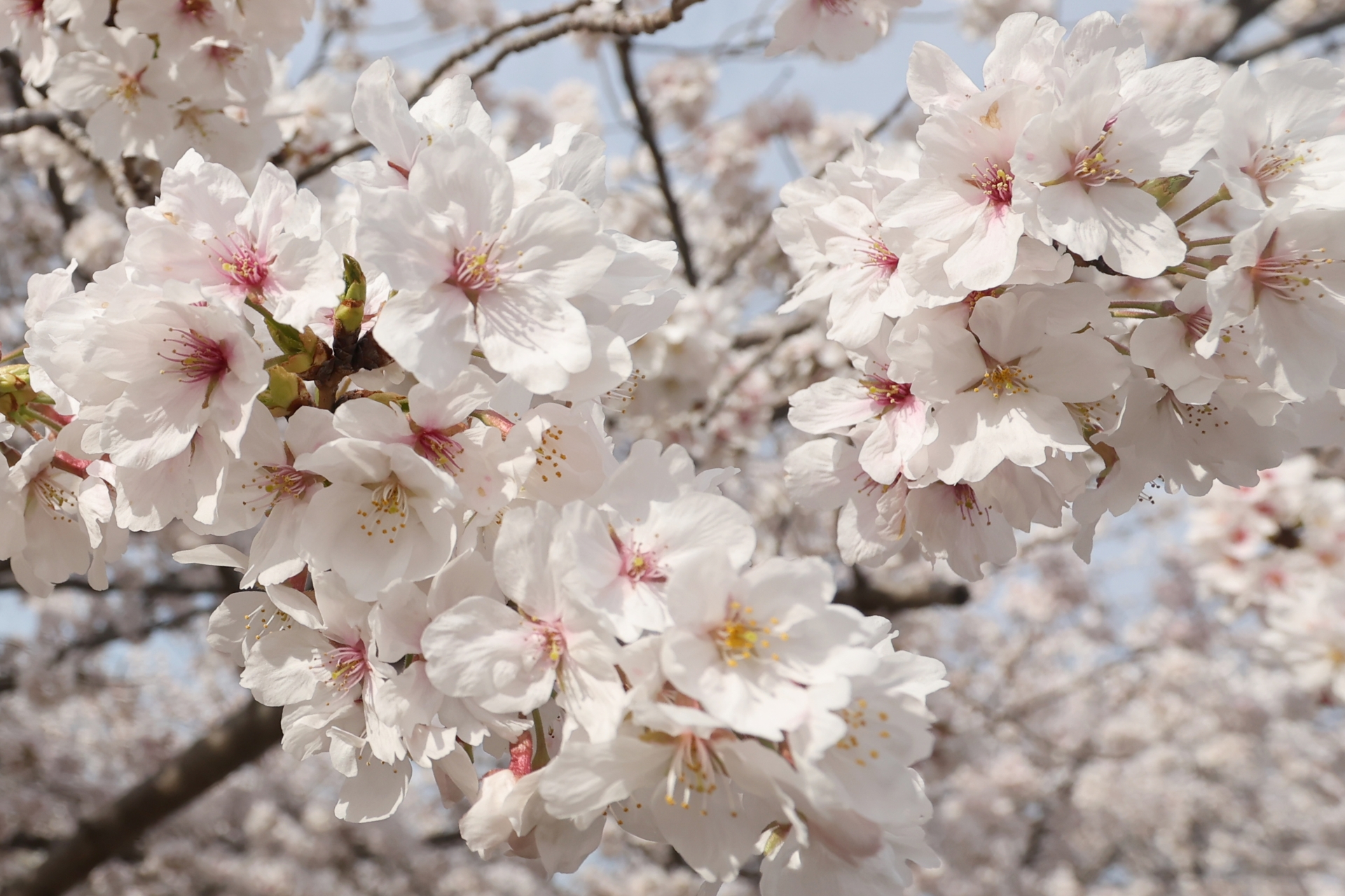 3月イメージ