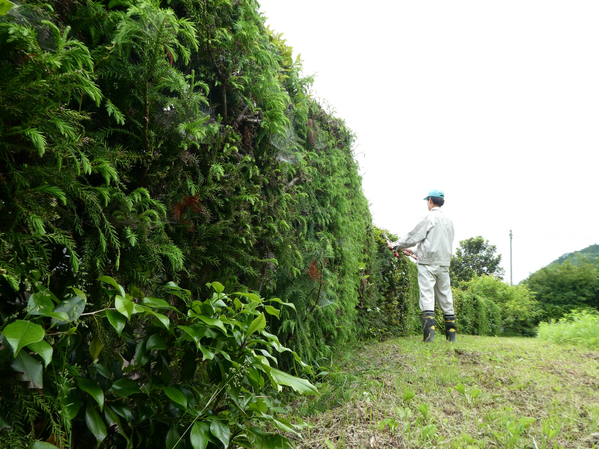 立ち会い無し・遠方作業対応可