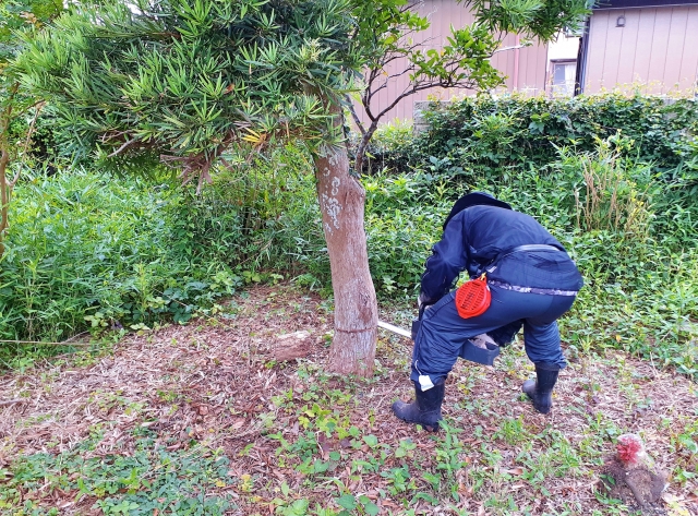 お庭・庭木の伐採