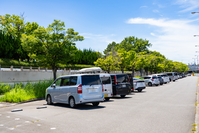 駐車場の伐採